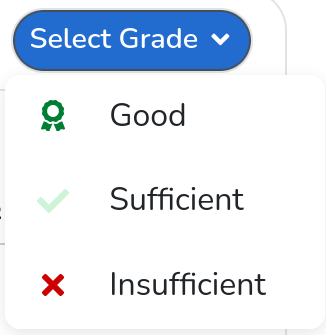 grading_scheme_options_teacher_view.png